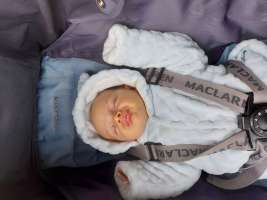 louis